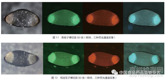 引用本文    连超杰，康帅＊，张南平，郑健，马双成＊.《中国药典》收载种子类药材统计分析与监管建议——以青葙子、鸡冠花子为例[J].中国食品药品监管.2022.03（218）：25-33.