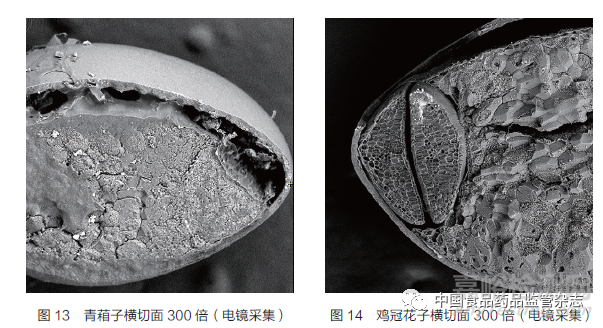 引用本文    连超杰，康帅＊，张南平，郑健，马双成＊.《中国药典》收载种子类药材统计分析与监管建议——以青葙子、鸡冠花子为例[J].中国食品药品监管.2022.03（218）：25-33.