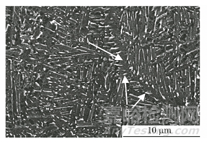 电子束选区熔化成形TC4合金的显微组织及硬度