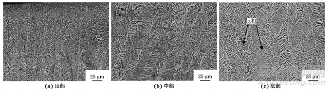 电子束选区熔化成形TC4合金的显微组织及硬度