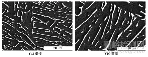 电子束选区熔化成形TC4合金的显微组织及硬度