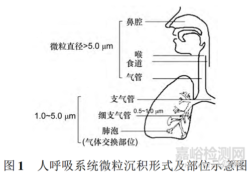 肺部给药系统特点、吸入制剂剂型及代表产品