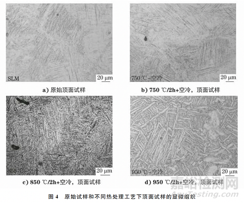 热处理温度对选择性激光熔化TC4钛合金板不同成形面组织和性能的影响