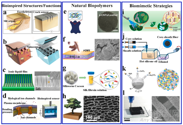仿生可穿戴电子器件最新进展