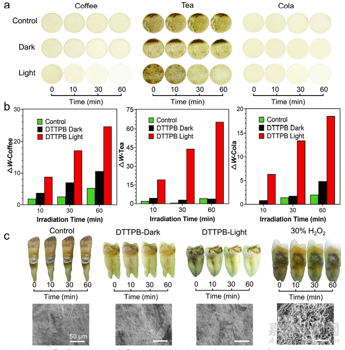 武汉大学使用光敏剂开发了可以同时抑制牙齿生物膜和促进牙齿美白的高效光动力治疗策略