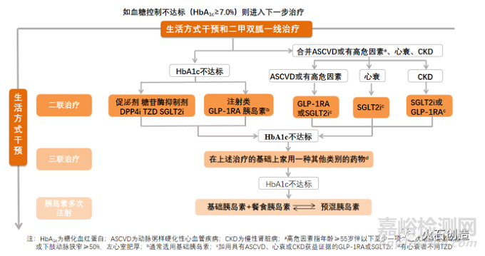 糖尿病用药新药研发管线与市场分析