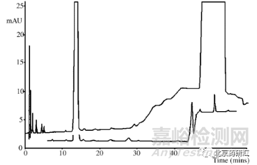 药物分析开发中如何分辨“鬼峰”及解决技巧