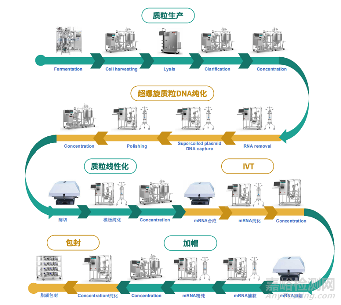 国产mRNA新冠疫苗研发需要突破哪些技术壁垒？