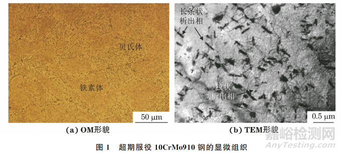 电站中超期服役10CrMo910钢的高温蠕变行为