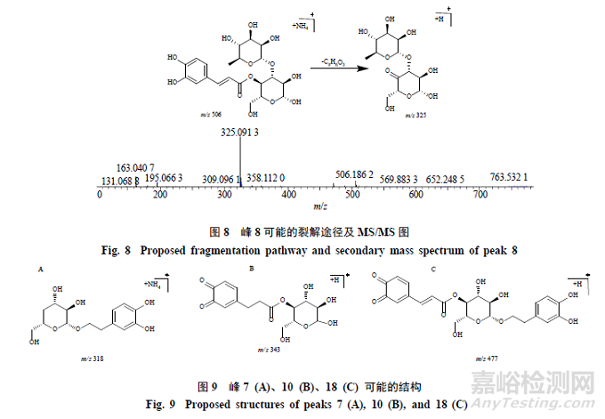 pH对毛蕊花糖苷稳定性影响及降解产物分析