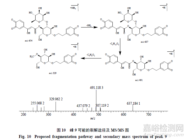 pH对毛蕊花糖苷稳定性影响及降解产物分析