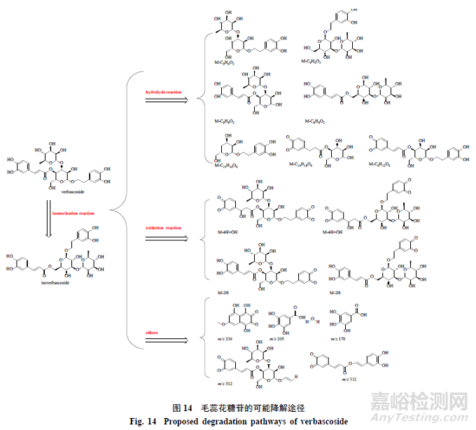 pH对毛蕊花糖苷稳定性影响及降解产物分析