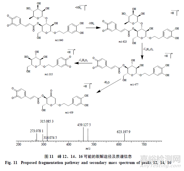 pH对毛蕊花糖苷稳定性影响及降解产物分析