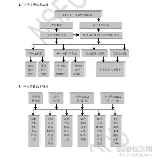 如何绘制最合适的技术路线图？