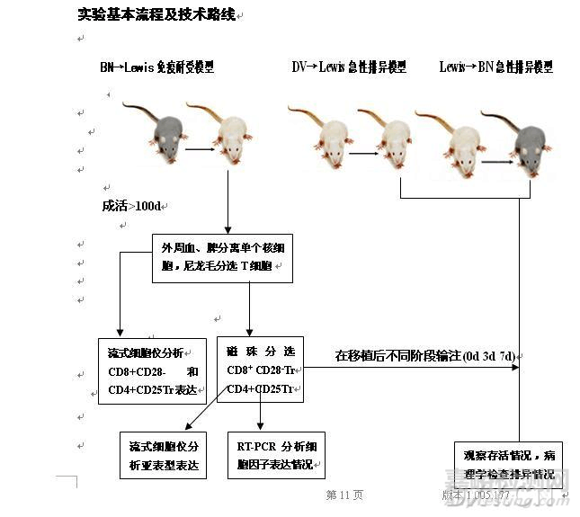 如何绘制最合适的技术路线图？