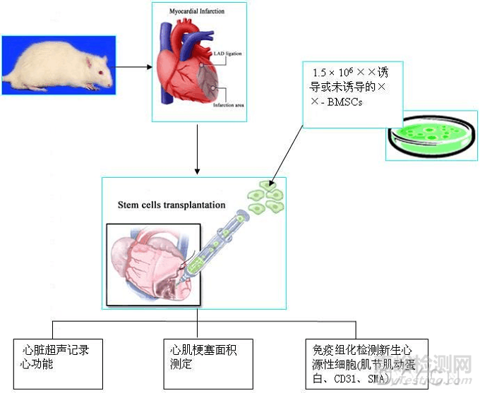 如何绘制最合适的技术路线图？