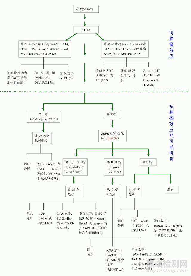 如何绘制最合适的技术路线图？
