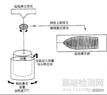 凝血检测析仪市场分析