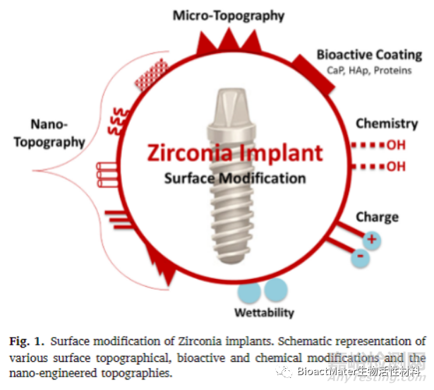 先进牙科种植体：具有生物活性和治疗性的氧化锆种植体