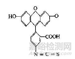 免疫荧光实验方法及难点详解