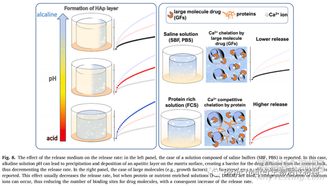影响磷酸钙骨水泥药物释放的因素