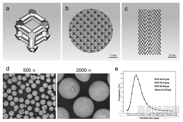 3D打印Mg-Nd-Zn-Zr镁合金植入物治疗骨感染的实验研究