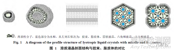 溶质液晶作为经皮给药载体的研究进展