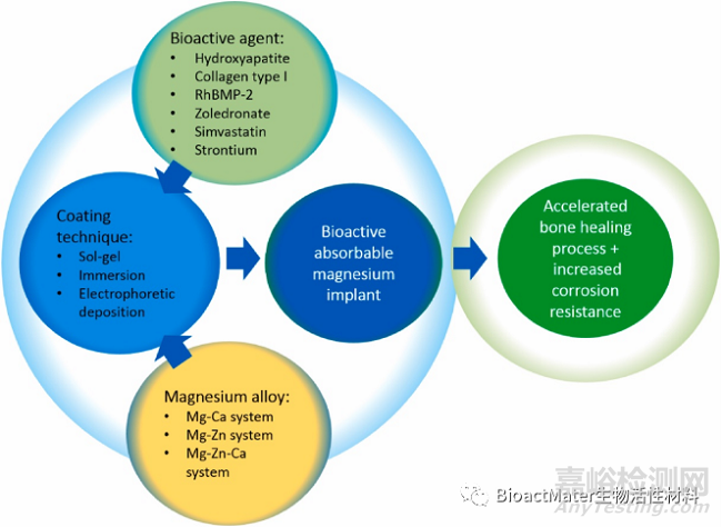 颇具潜力的生物活性涂层系统—用于高性能可吸收镁质骨植入物