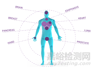 器官靶向PET获批FDA