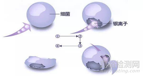 车用抗菌材料的抗菌机理