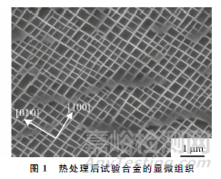 应变幅对一种新型镍基单晶高温合金高温低周疲劳性能的影响