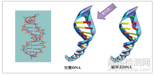 浅谈制药行业纯化水系统微生物控制