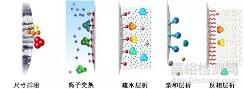 凝胶过滤与多肽纯化技术的要点