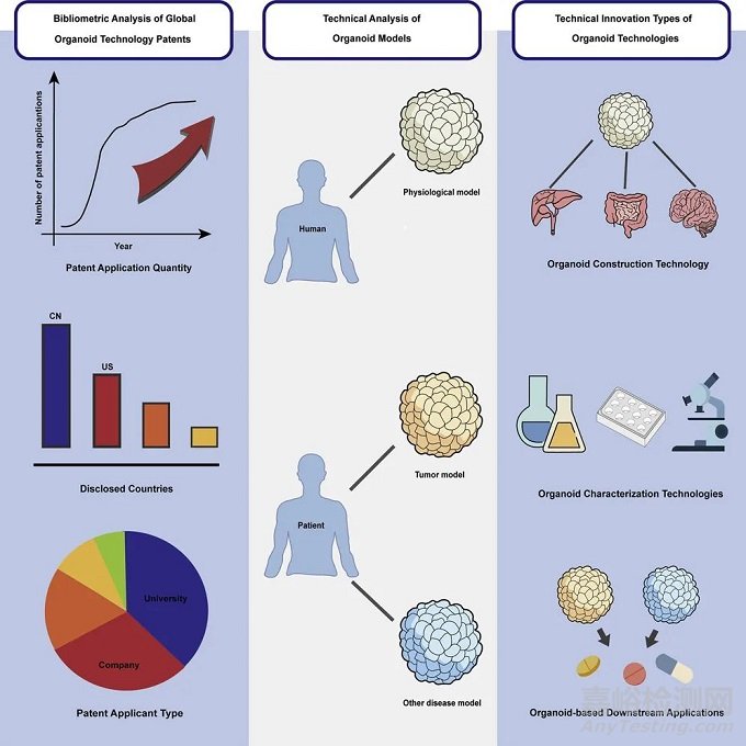 类器官医疗器械技术与专利分析