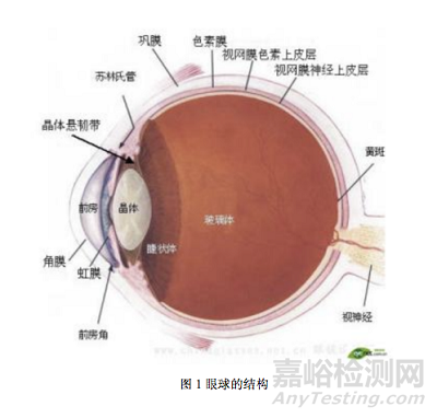 准分子激光角膜屈光治疗仪临床试验设计思路