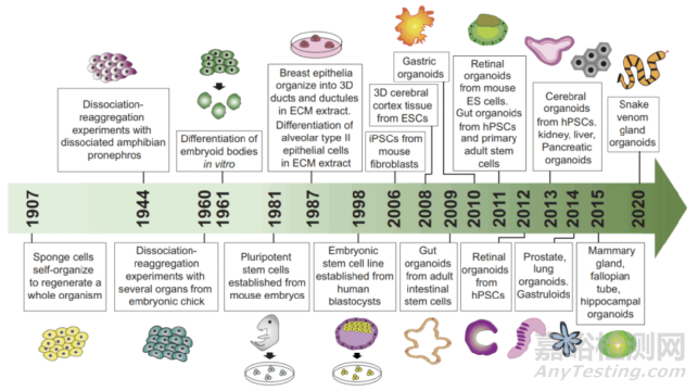 类器官技术引领新一代基础医学研究革命