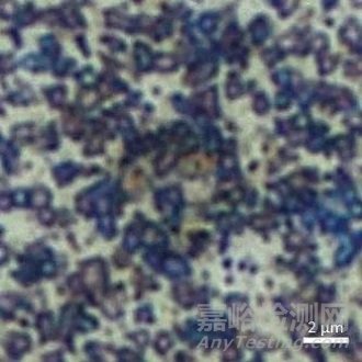 金属表面形貌分析与表征方法