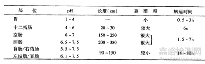 口服固体制剂体内吸收之绝佳之地-小肠