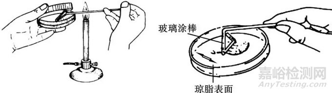 微生物接种方法比较