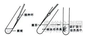 微生物接种方法比较