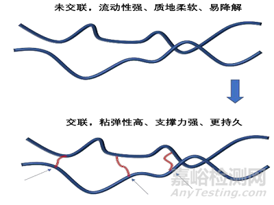 全球医美填充剂发展历程与竞争格局