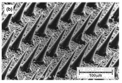 微针技术的最新研究发展