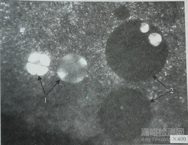 漫谈钢中非金属夹杂物