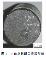 预应力钢丝用YL82B热轧盘条断裂原因