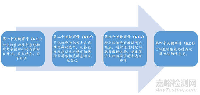 水凝胶产品的生物相容性评估