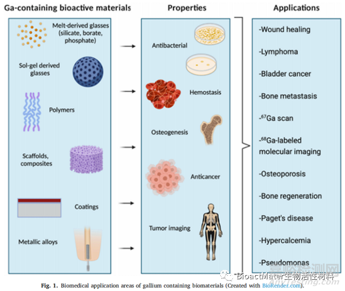 含镓的生物活性材料在抗癌、抗菌和成骨性能方面的综述