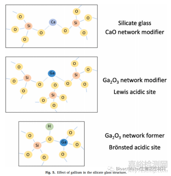 含镓的生物活性材料在抗癌、抗菌和成骨性能方面的综述