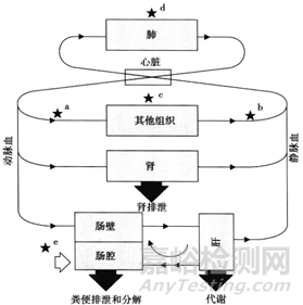 新药早期开发中关键理化性质考量-渗透性