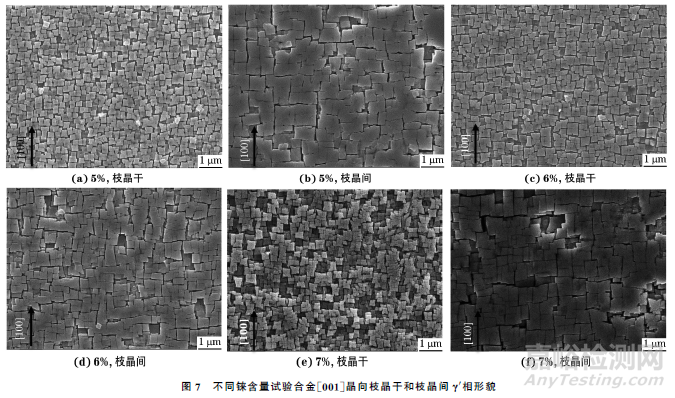 铼含量对第四代镍基单晶高温合金凝固组织的影响