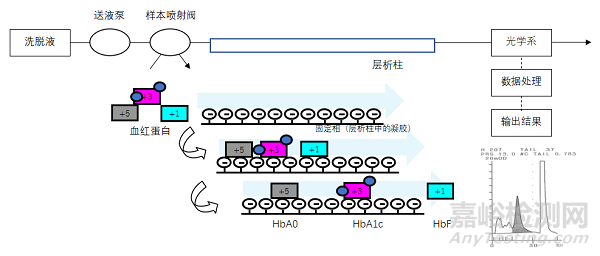 糖化血红蛋白分析仪注册审查指导原则正式发布（附全文）